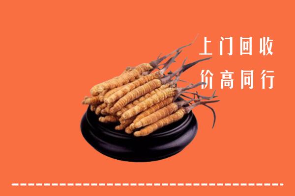 呈贡区回收冬虫夏草